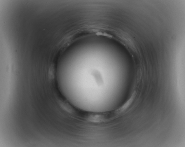 X0000116110174200911231153