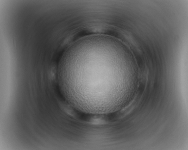 X0000116110175200911231153