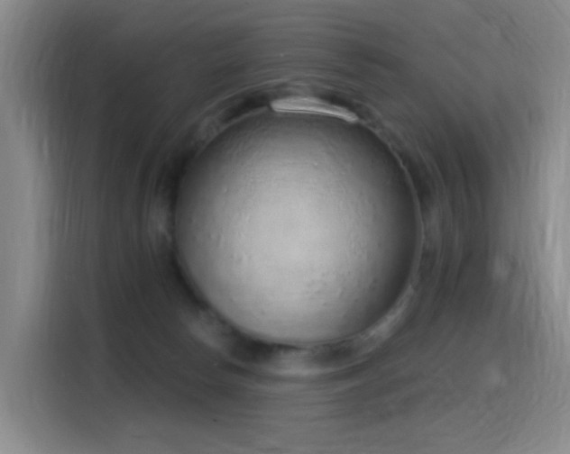 X0000116110178200911231153