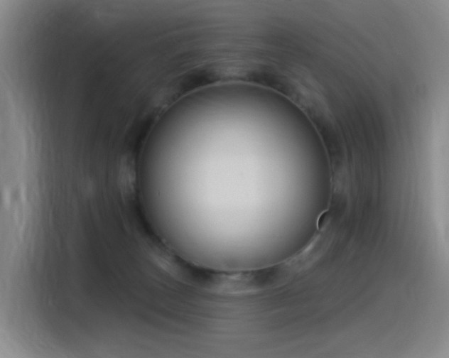 X0000116110179200911231153