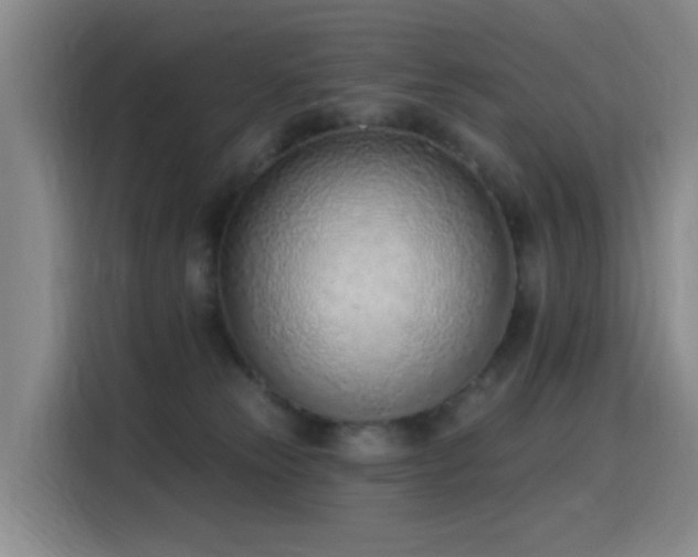 X0000116110181200911231153