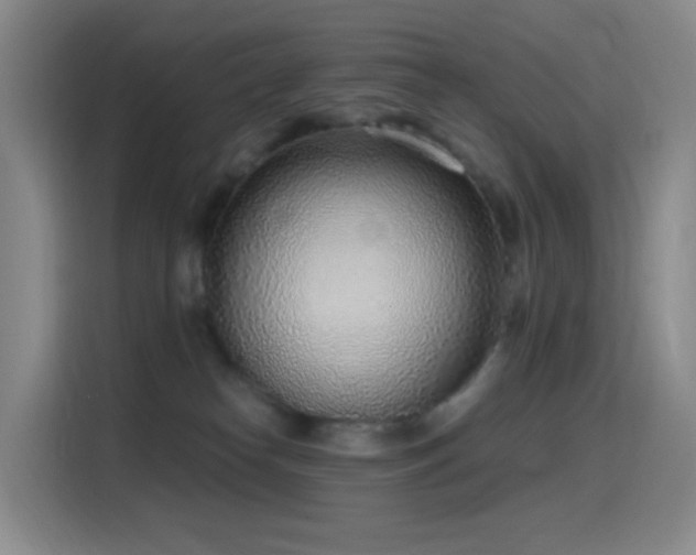 X0000116110182200911231153