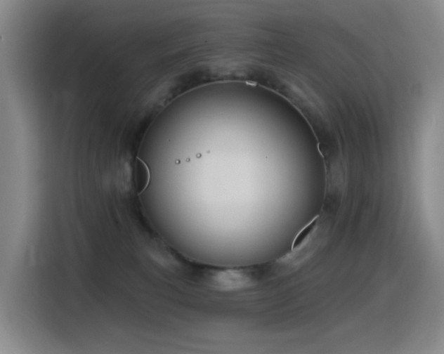 X0000116110183200911231153