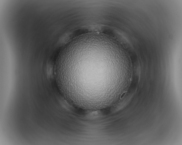 X0000116110185200911231153