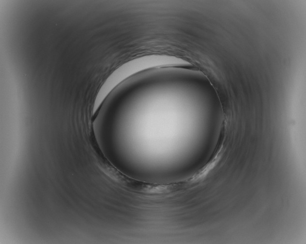 X0000116110186200911231153