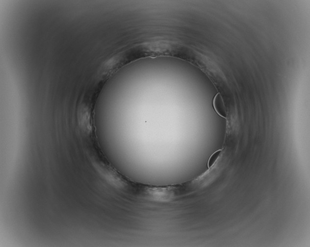 X0000116110187200911231153