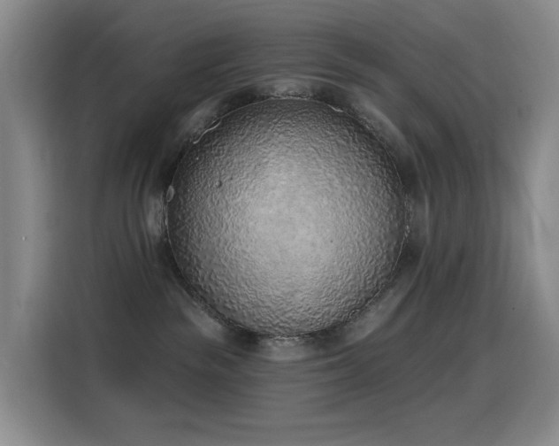 X0000116110189200911231153