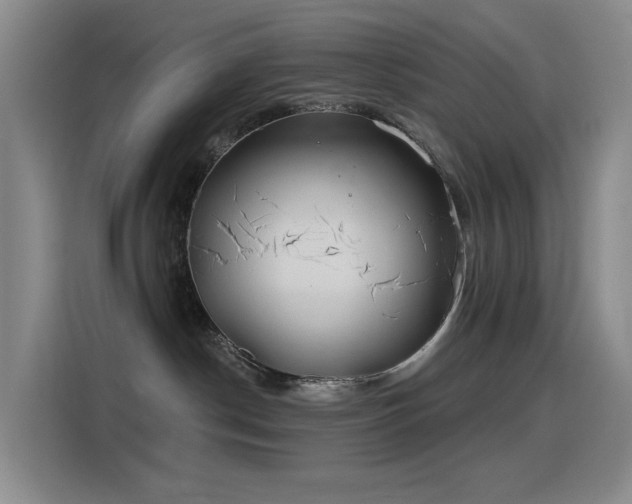 X0000116110190200911231153