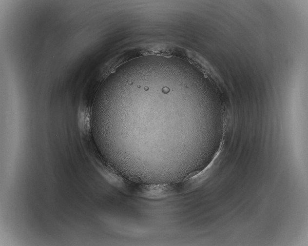 X0000116110191200911231153