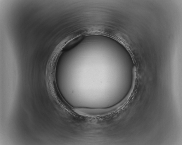 X0000116110193200911231152