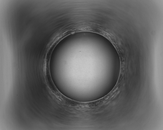 X0000116110194200911231152