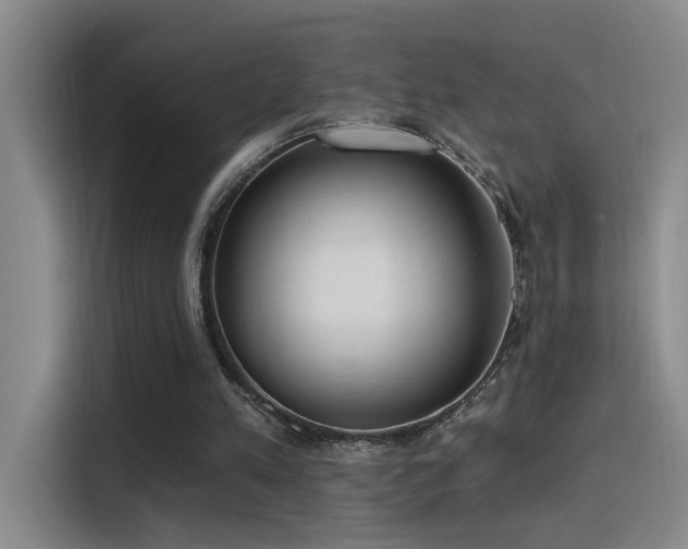 X0000116110197200911231152