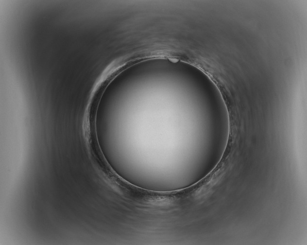 X0000116110198200911231152