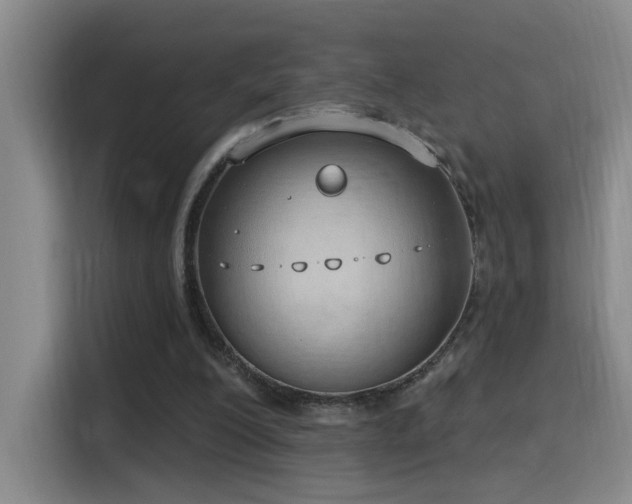 X0000116110200200911231152