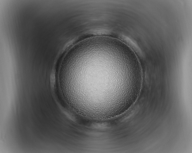 X0000116110202200911231152