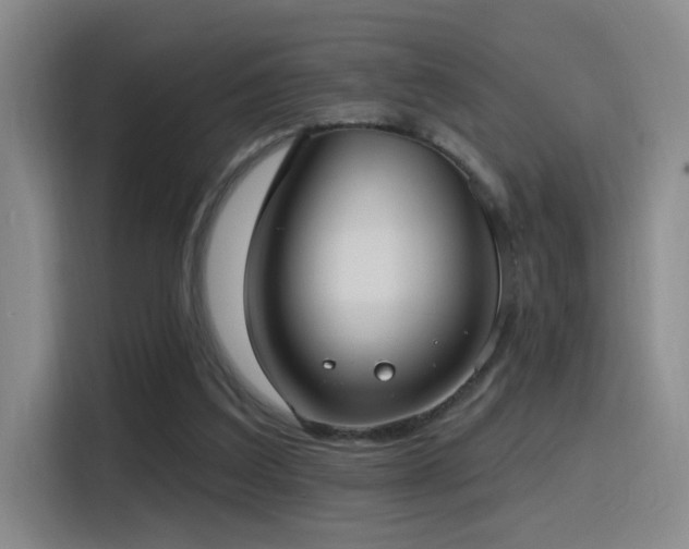 X0000116110203200911231152