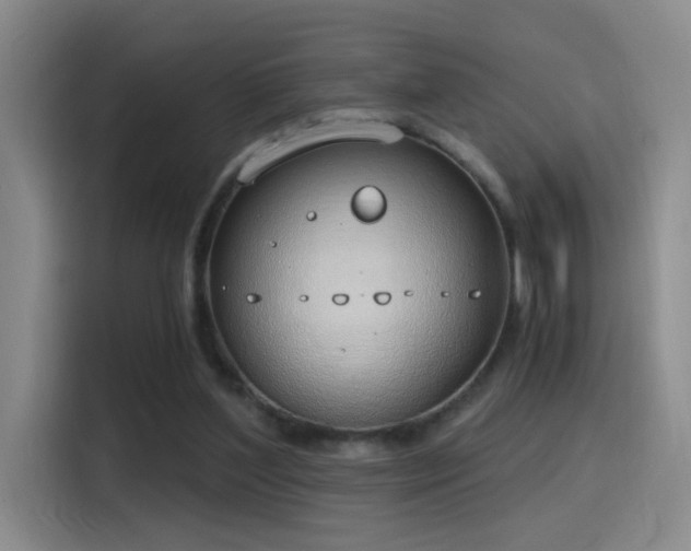 X0000116110204200911231152