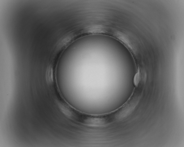 X0000116110205200911231152