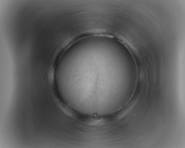 X0000116110206200911231152