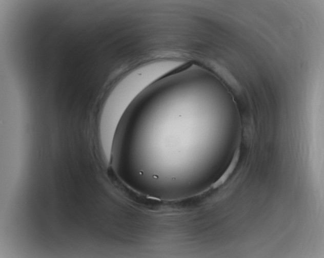 X0000116110207200911231152