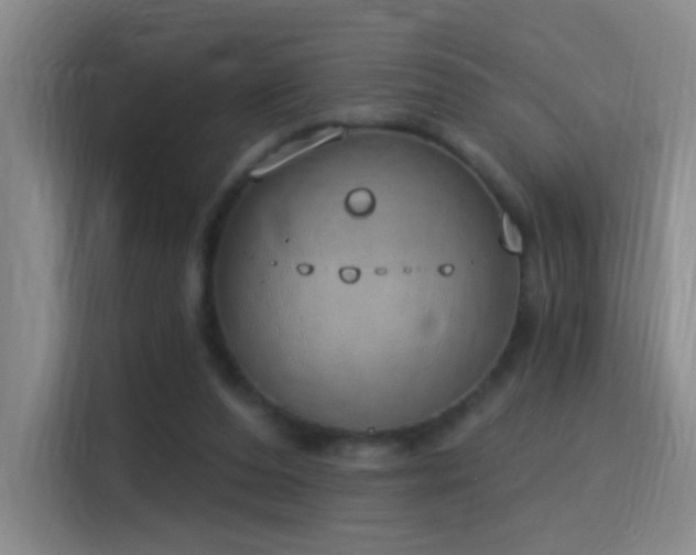 X0000116110208200911231152