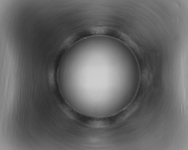 X0000116110209200911231152