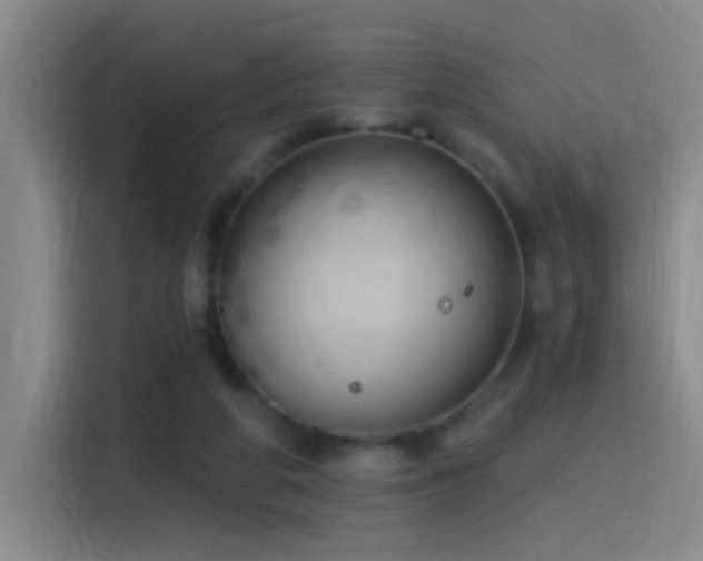 X0000116110210200911231152