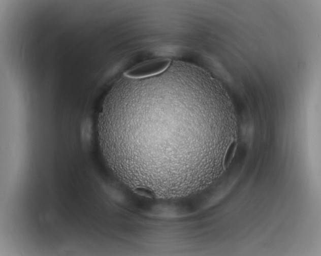 X0000116110211200911231152