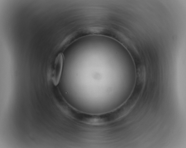 X0000116110212200911231152