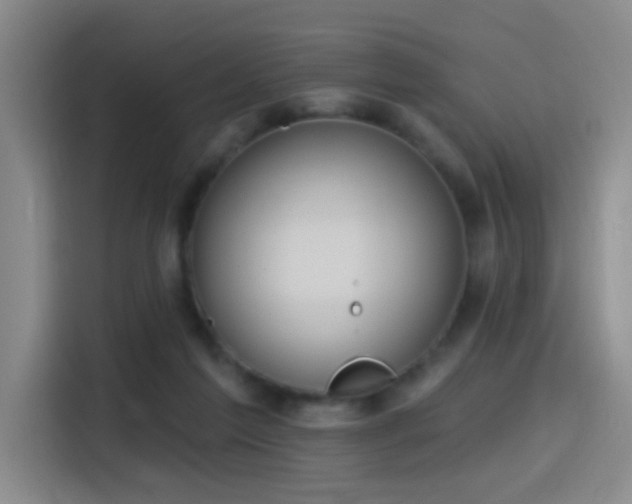 X0000116110213200911231152