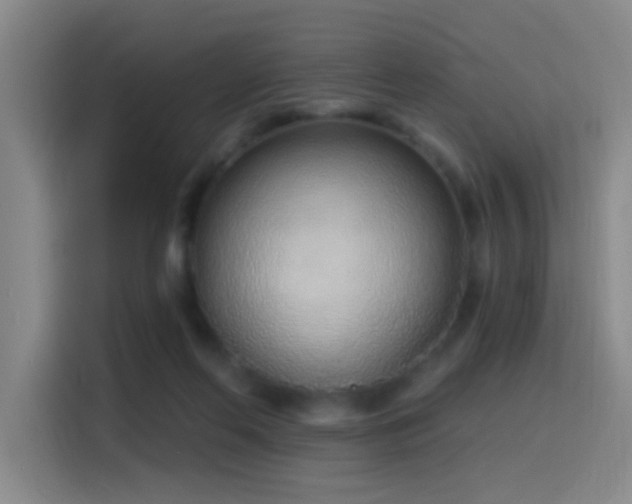 X0000116110214200911231152