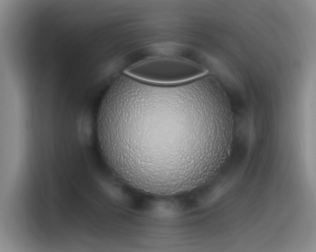 X0000116110215200911231152