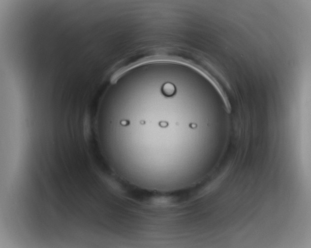 X0000116110216200911231152