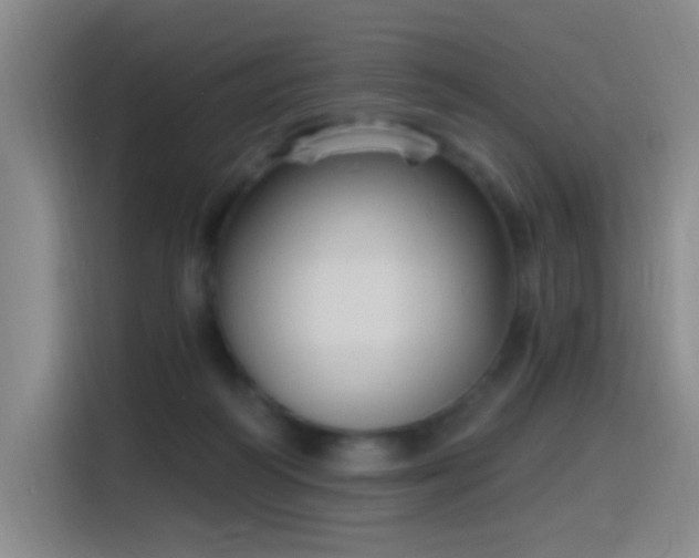 X0000116110218200911231152