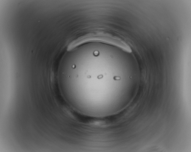 X0000116110220200911231152