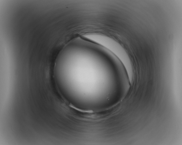 X0000116110221200911231152