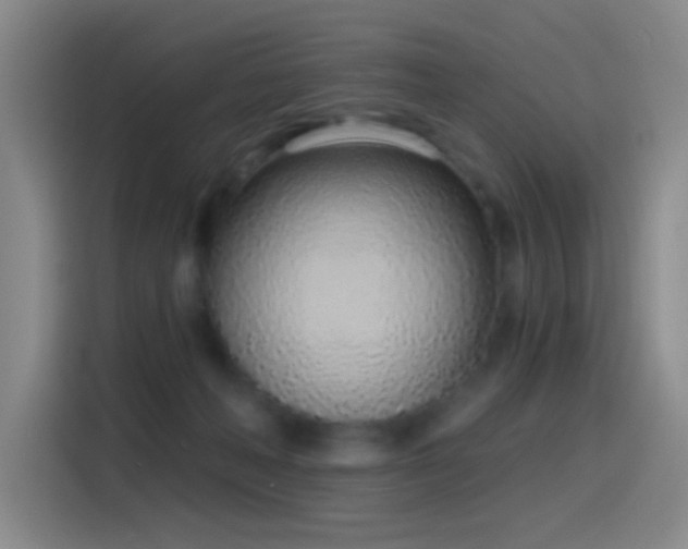 X0000116110222200911231152