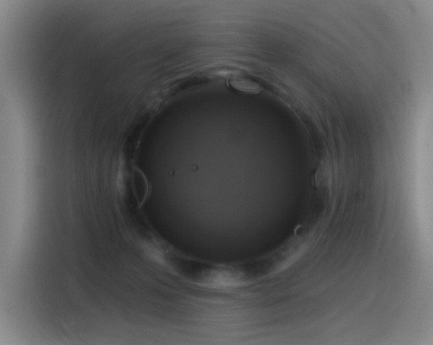 X0000116110223200911231152