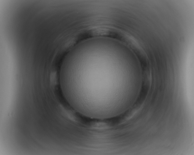 X0000116110224200911231152