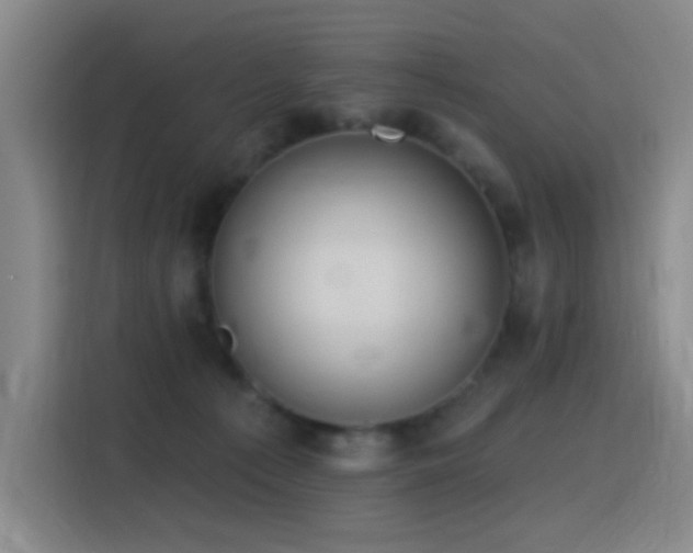 X0000116110225200911231152