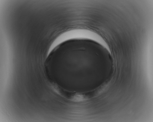 X0000116110227200911231152