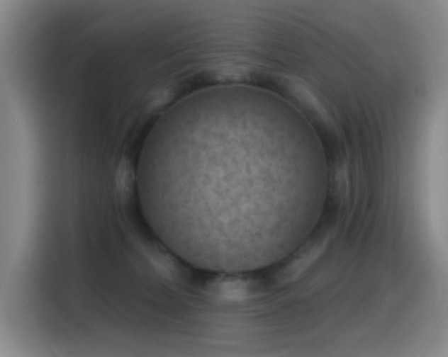 X0000116110228200911231152