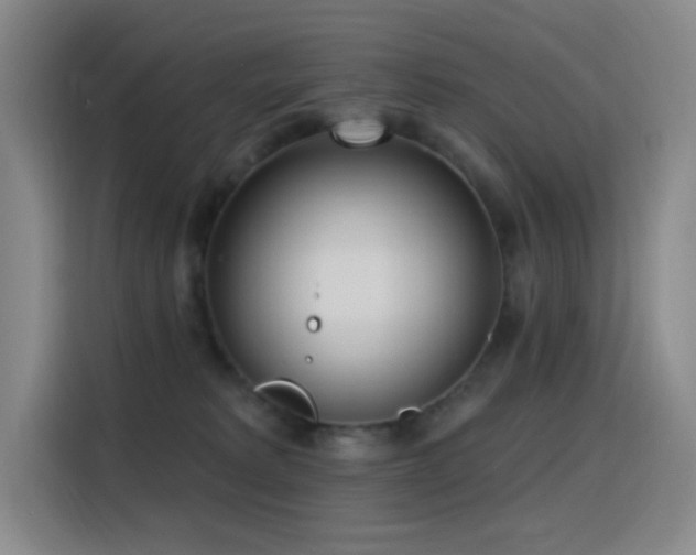 X0000116110229200911231152