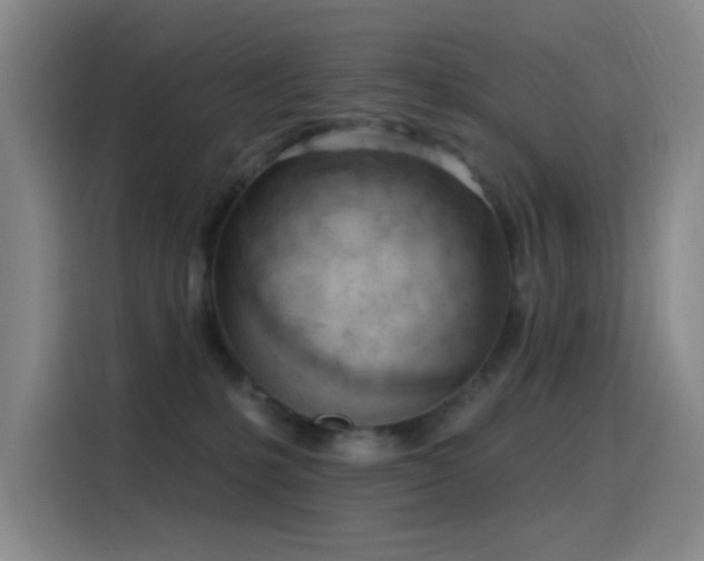 X0000116110231200911231152