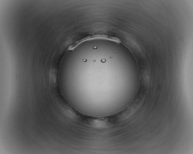 X0000116110232200911231152