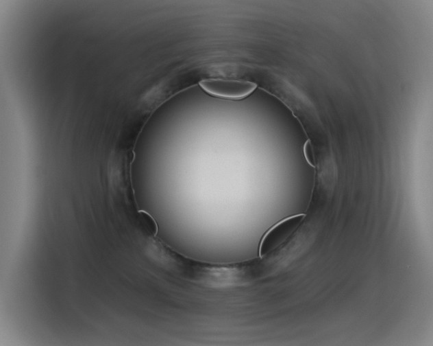 X0000116110233200911231152