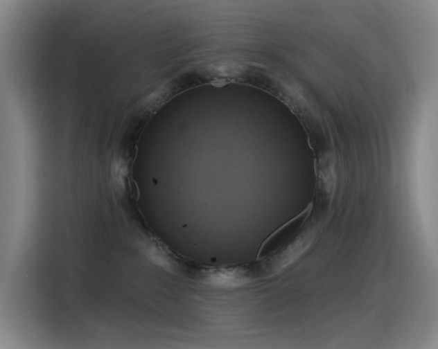 X0000116110235200911231152