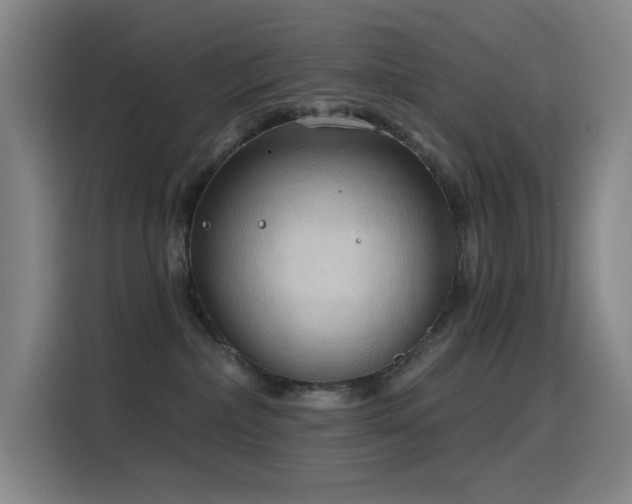 X0000116110236200911231152