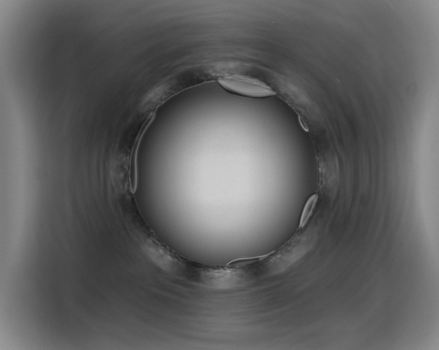 X0000116110237200911231152