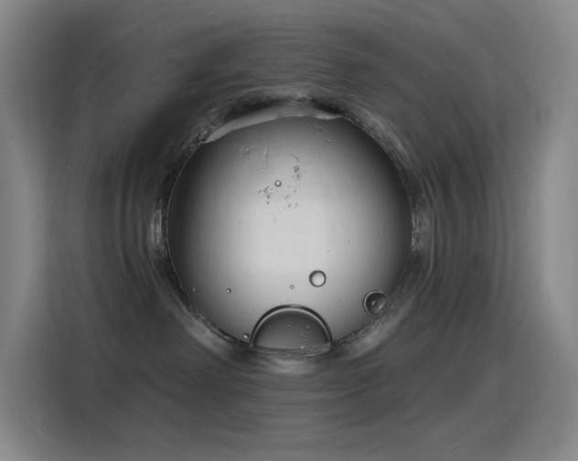 X0000116110238200911231152